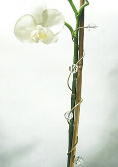 Orchideenwickler mit Swarovski Elements